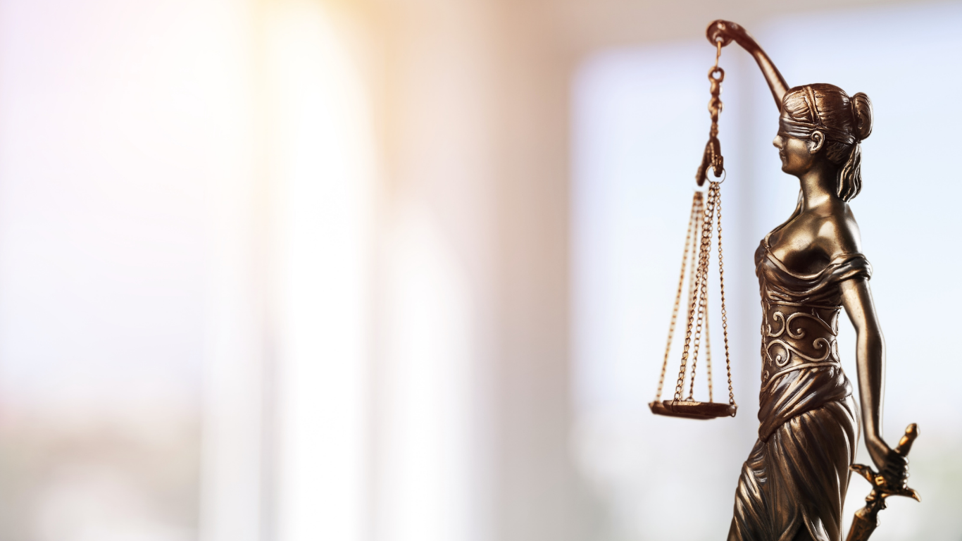Professional lawyer